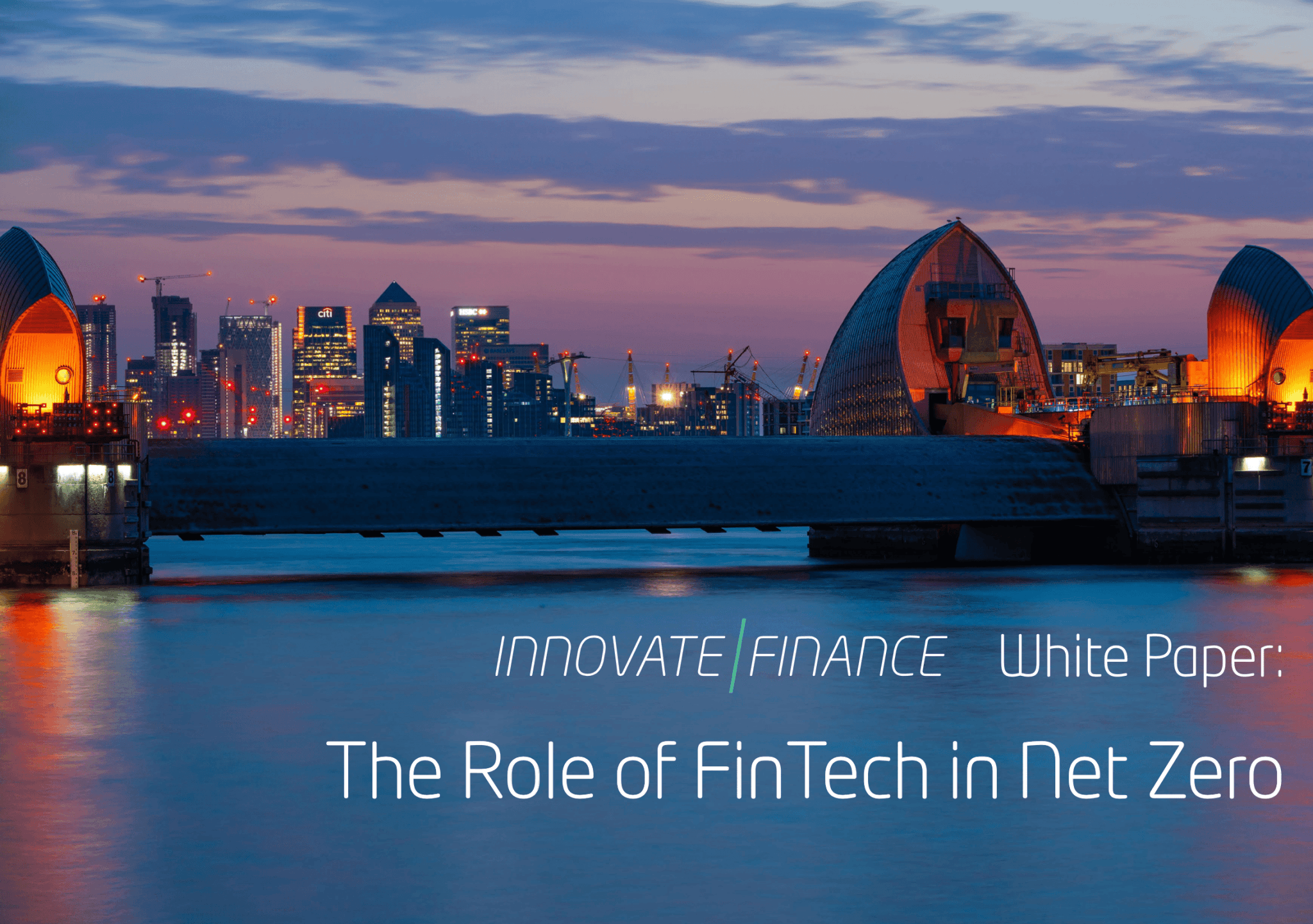 The Role of FinTech in Net Zero
